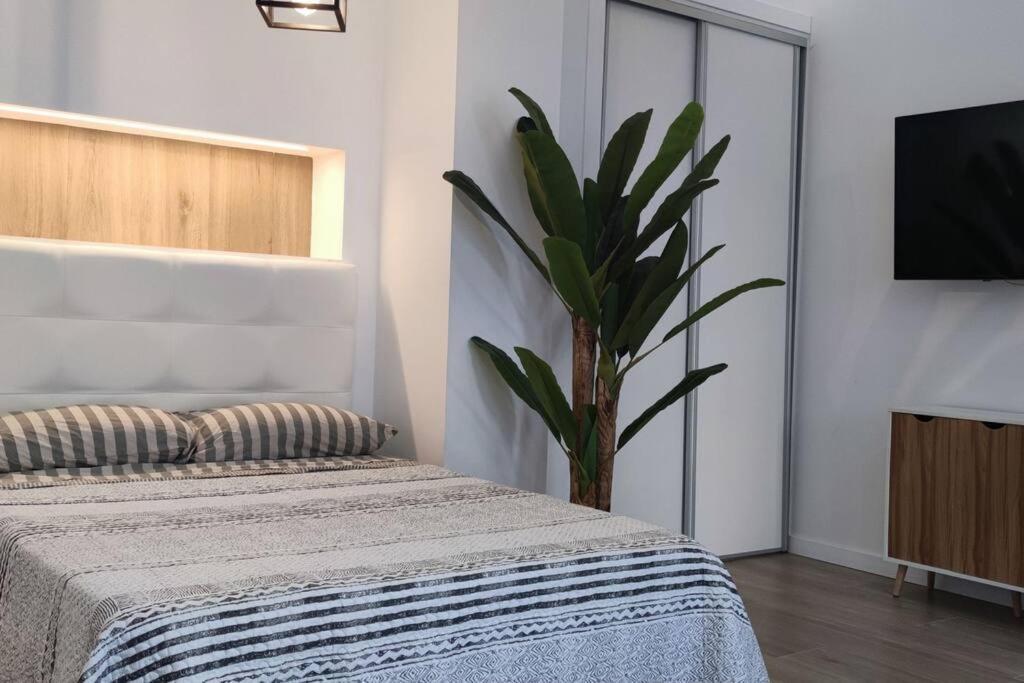 Estudio Diseno Cerca Ciudad Ciencias Vt-55211-V Валенсия Экстерьер фото
